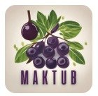 WhatsApp Image 2024-02-13 at 12.50.53 (2)